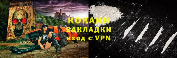 дмт Верея